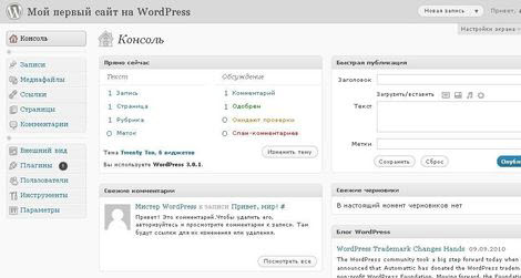 Стандартная консоль WordPress