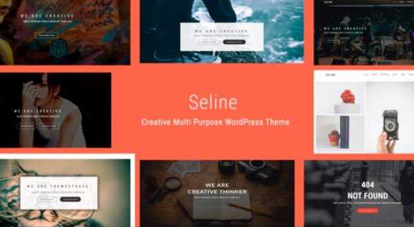 Seline - Творческая многопользовательская тема WordPress