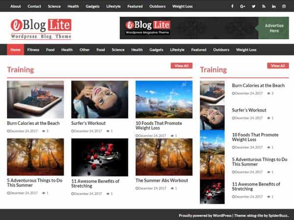 eBlog Lite - современная, чистая, красочная и отзывчивая тема WordPress