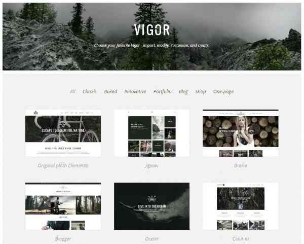 Vigor - новая мульти-концептуальная тема WP